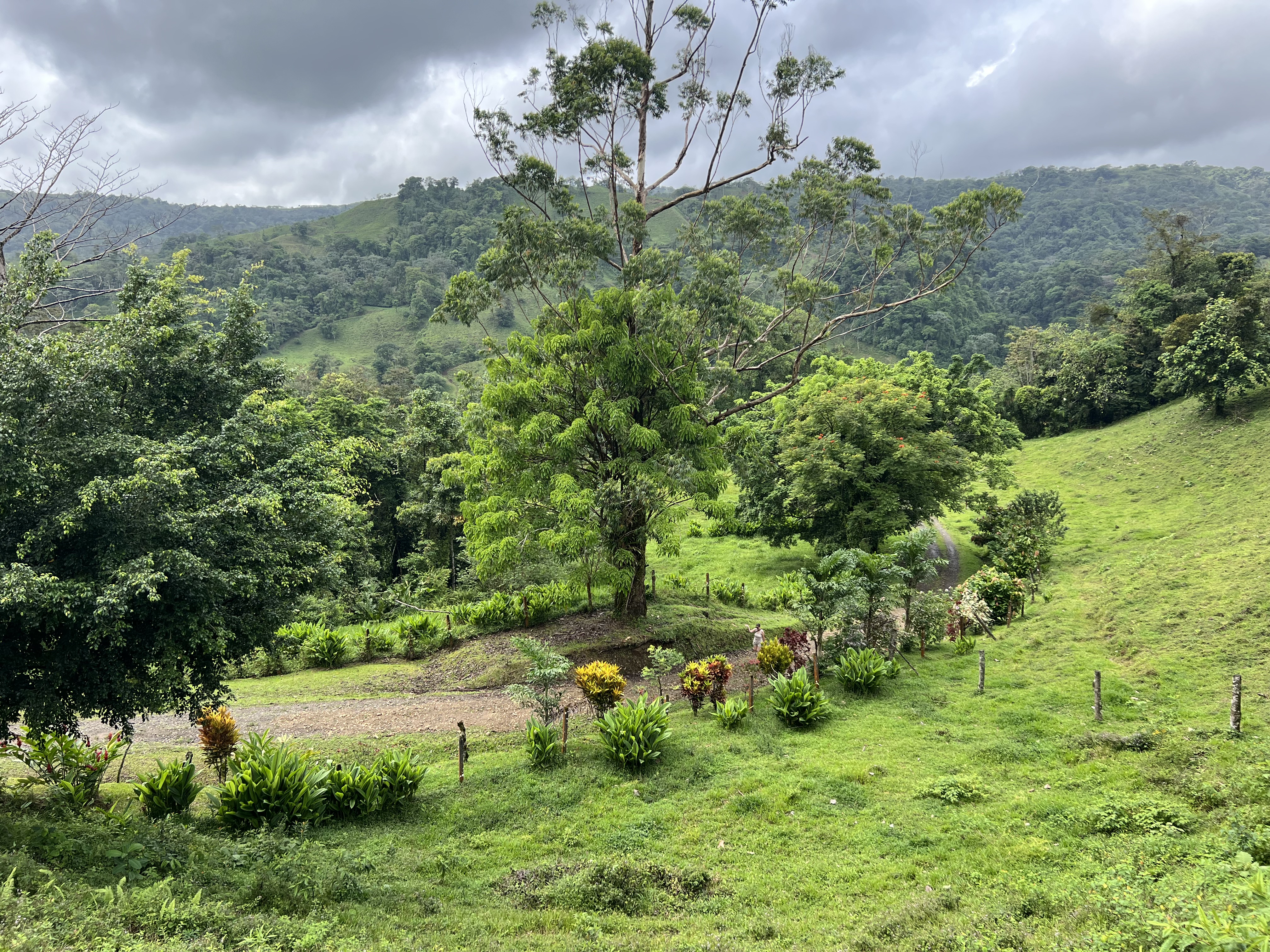 Green hills and pasture rolling out from the finca