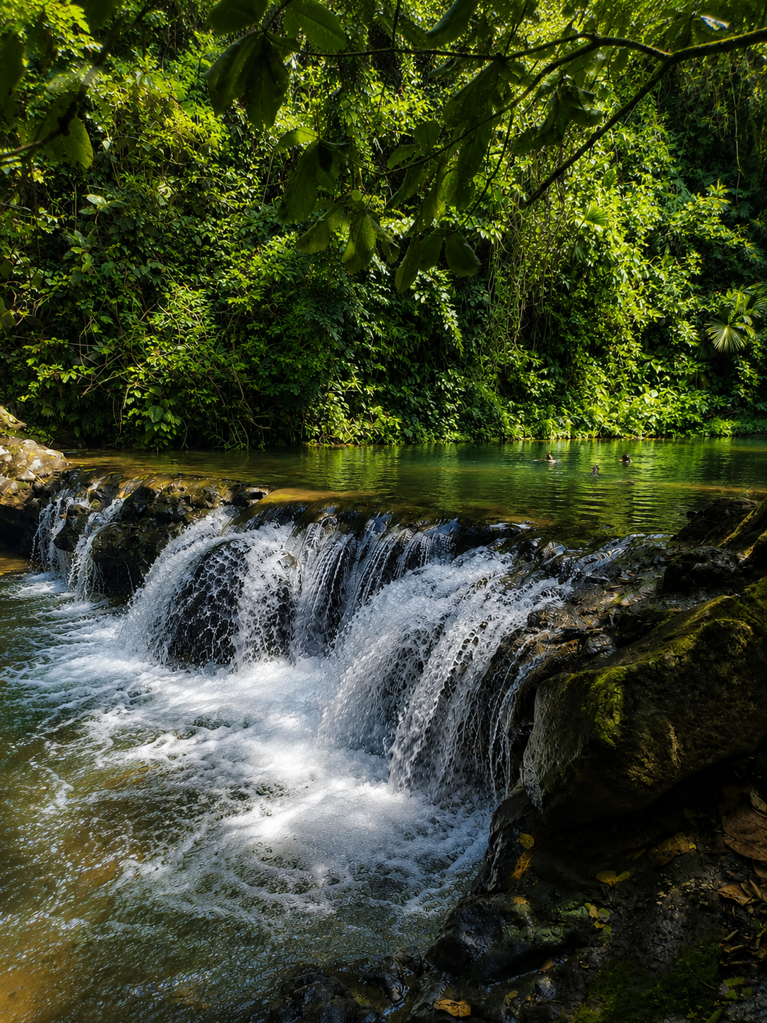 Cascading waterfall flowing into a calm jungle pool at Vainica