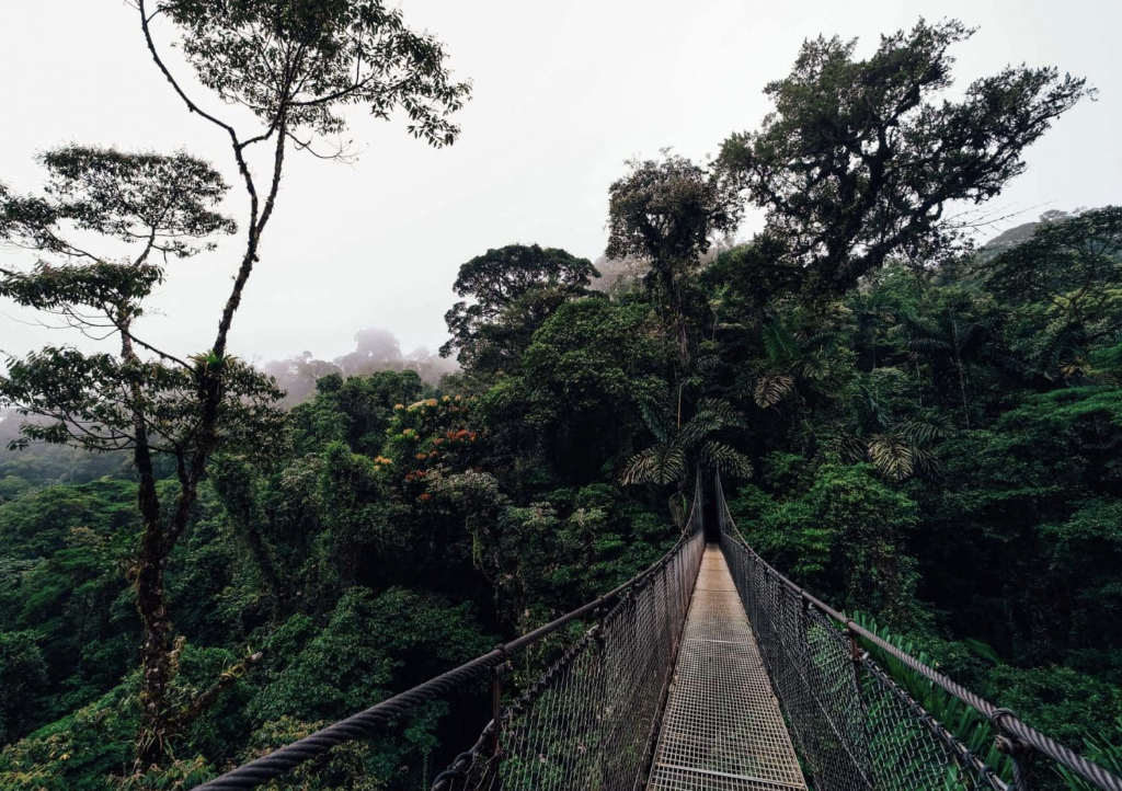 A canopy hanging bridge suspended high above the lush rainforest near La Fortuna