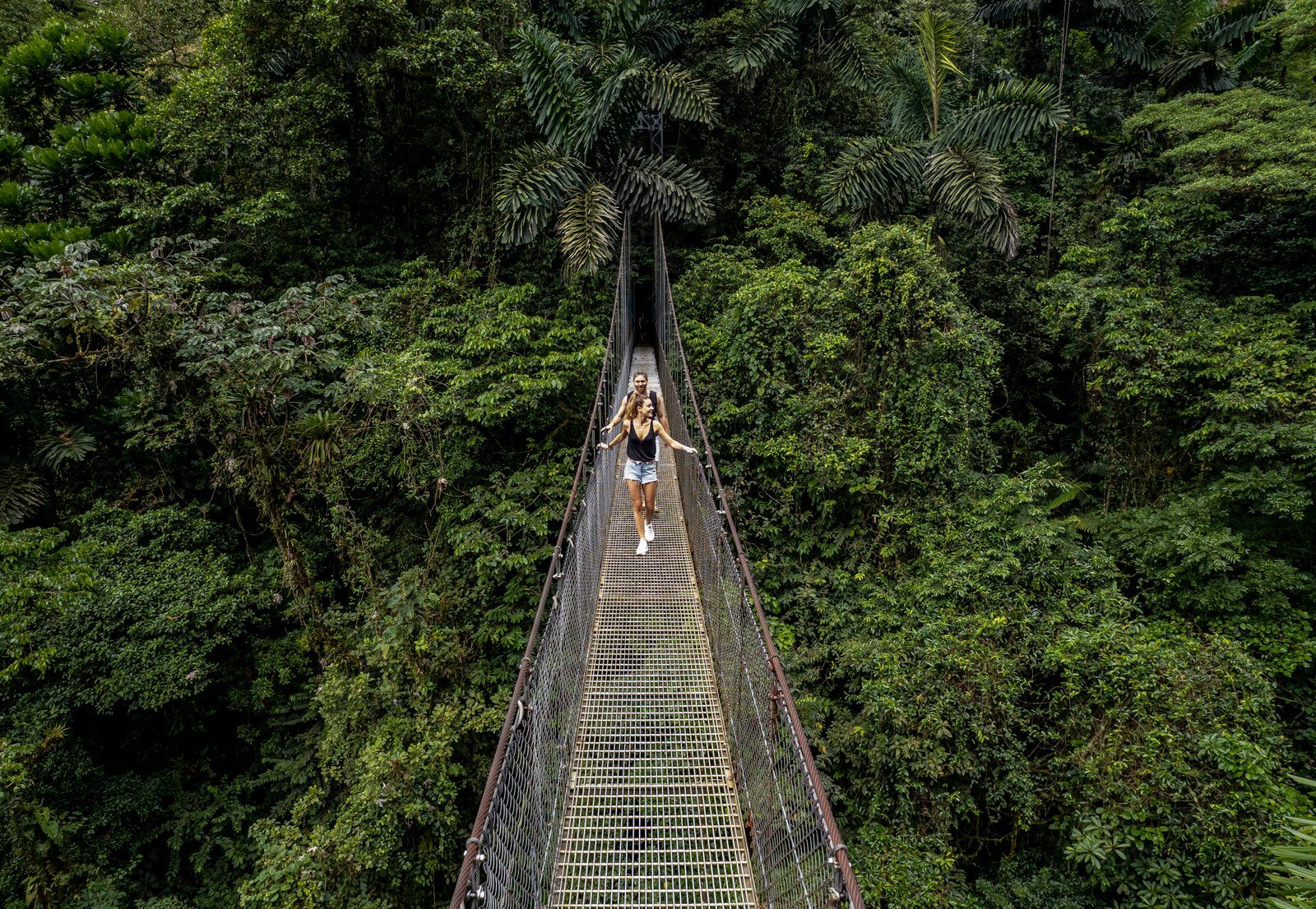 Travellers on a canopy walkway in the Costa Rican rainforest