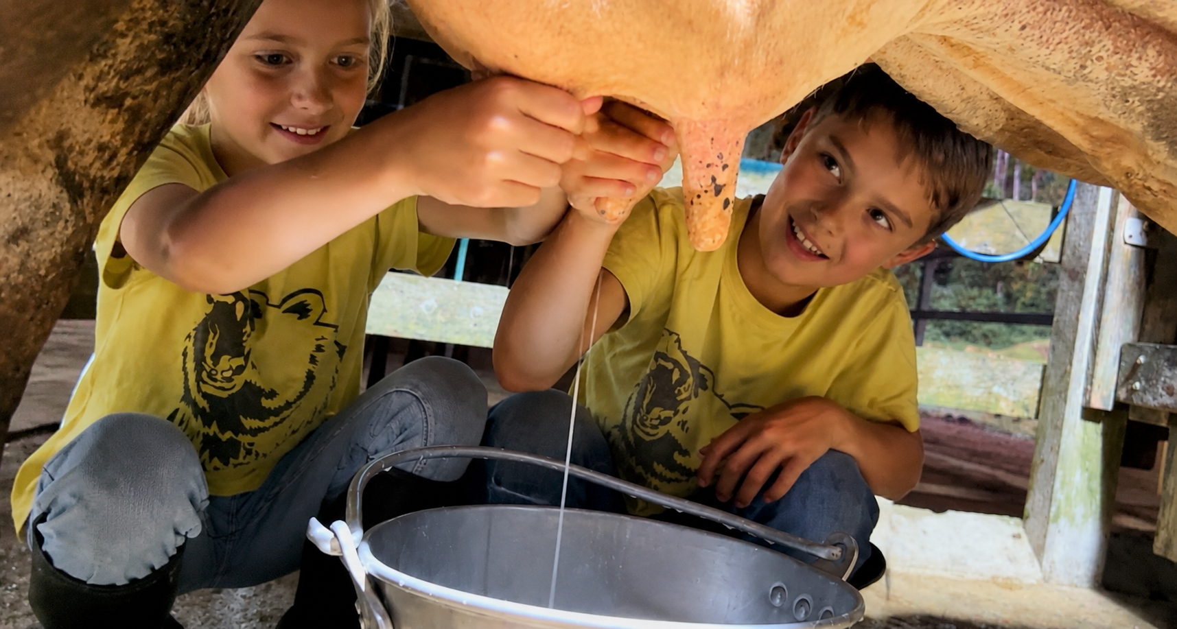 A young child learns to milk a cow with a farmer's help during a family farm stay in Costa Rica.