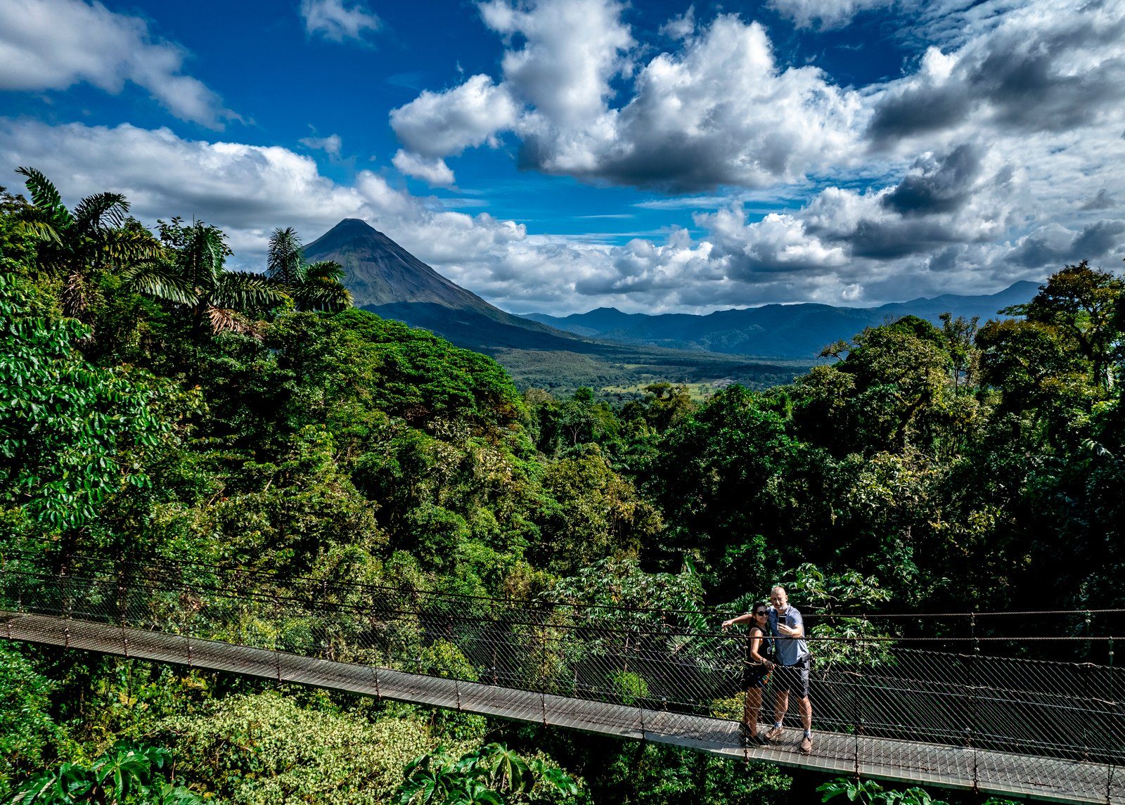 Hanging bridge through dense Costa Rican rainforest canopy