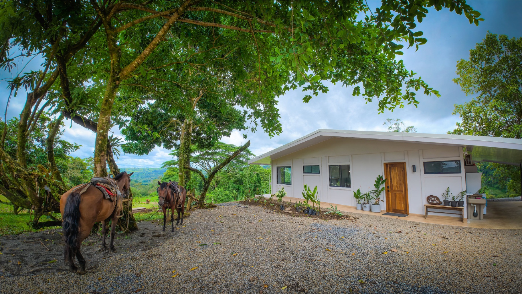 Horses resting under shade trees beside Casa Venado with the valley beyond