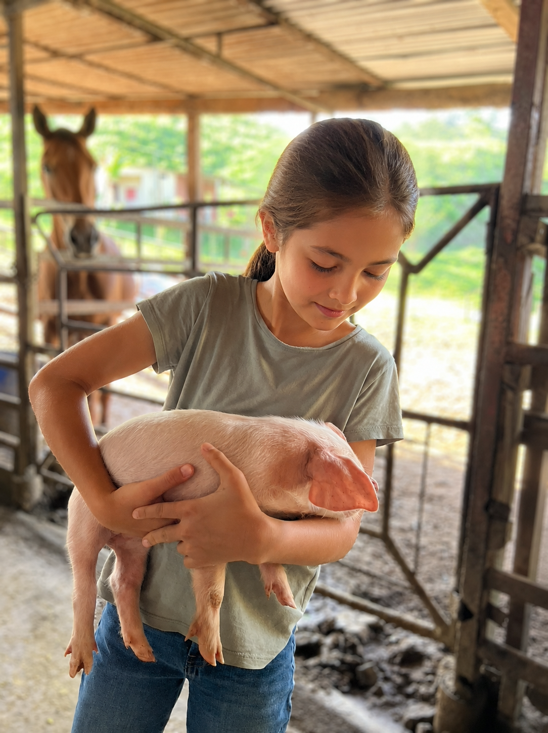 A young girl gently holding a piglet in the barn with a horse looking on