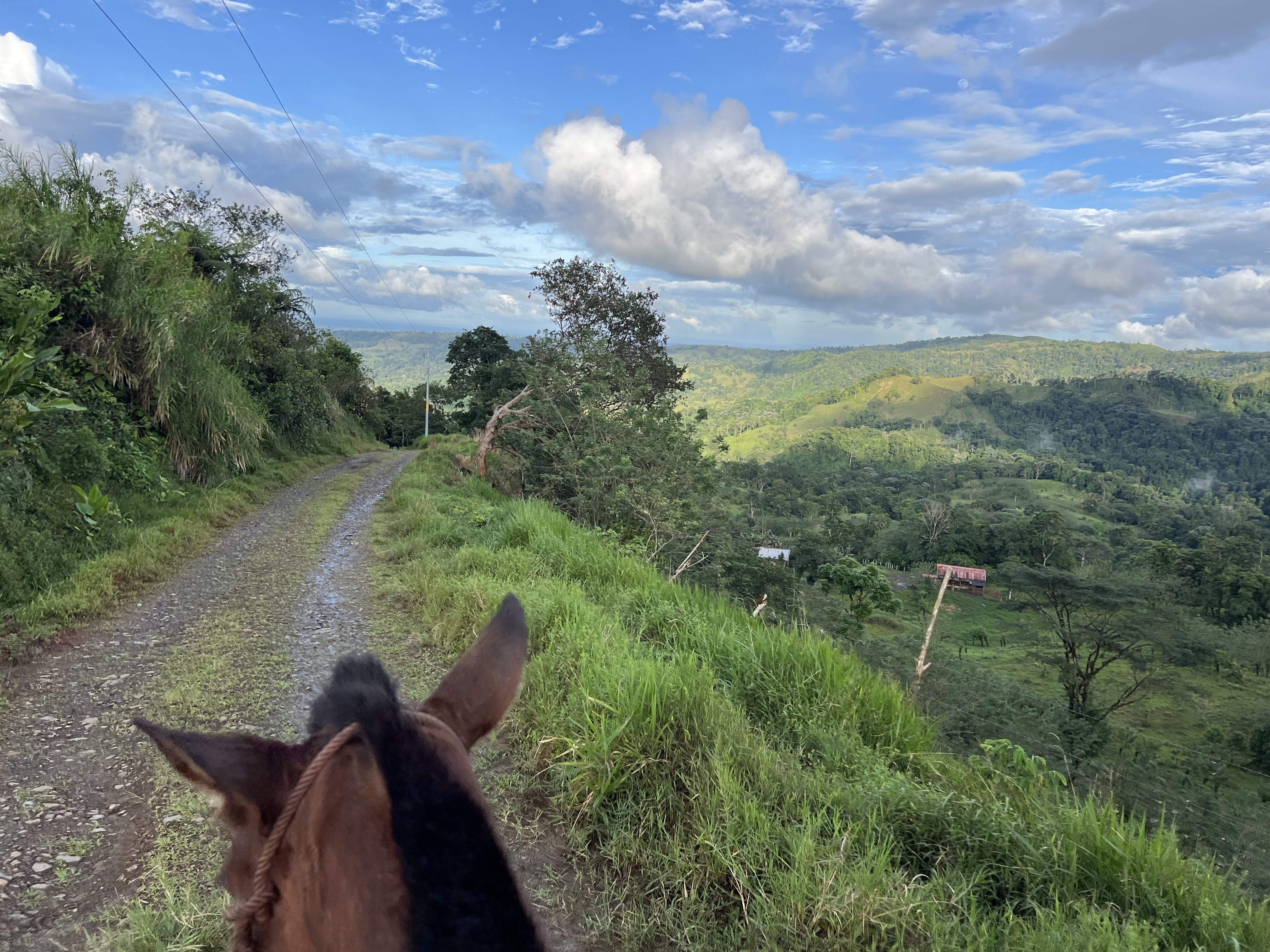 Riding out along the road above the finca